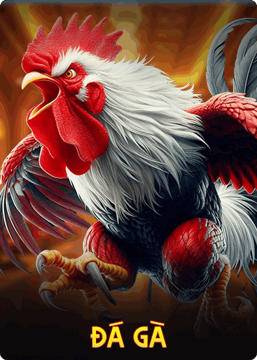 Win55 | Link Vào Win55 Chính Thức - Đăng Ký Win55 Nhận 55k 3 da ga win55