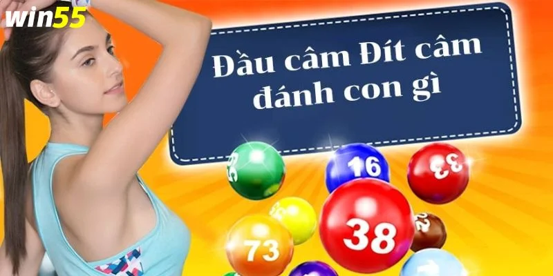 Mẹo soi lô bạc nhớ theo câm đầu hay đuôi đều có tính chính xác rất cao.